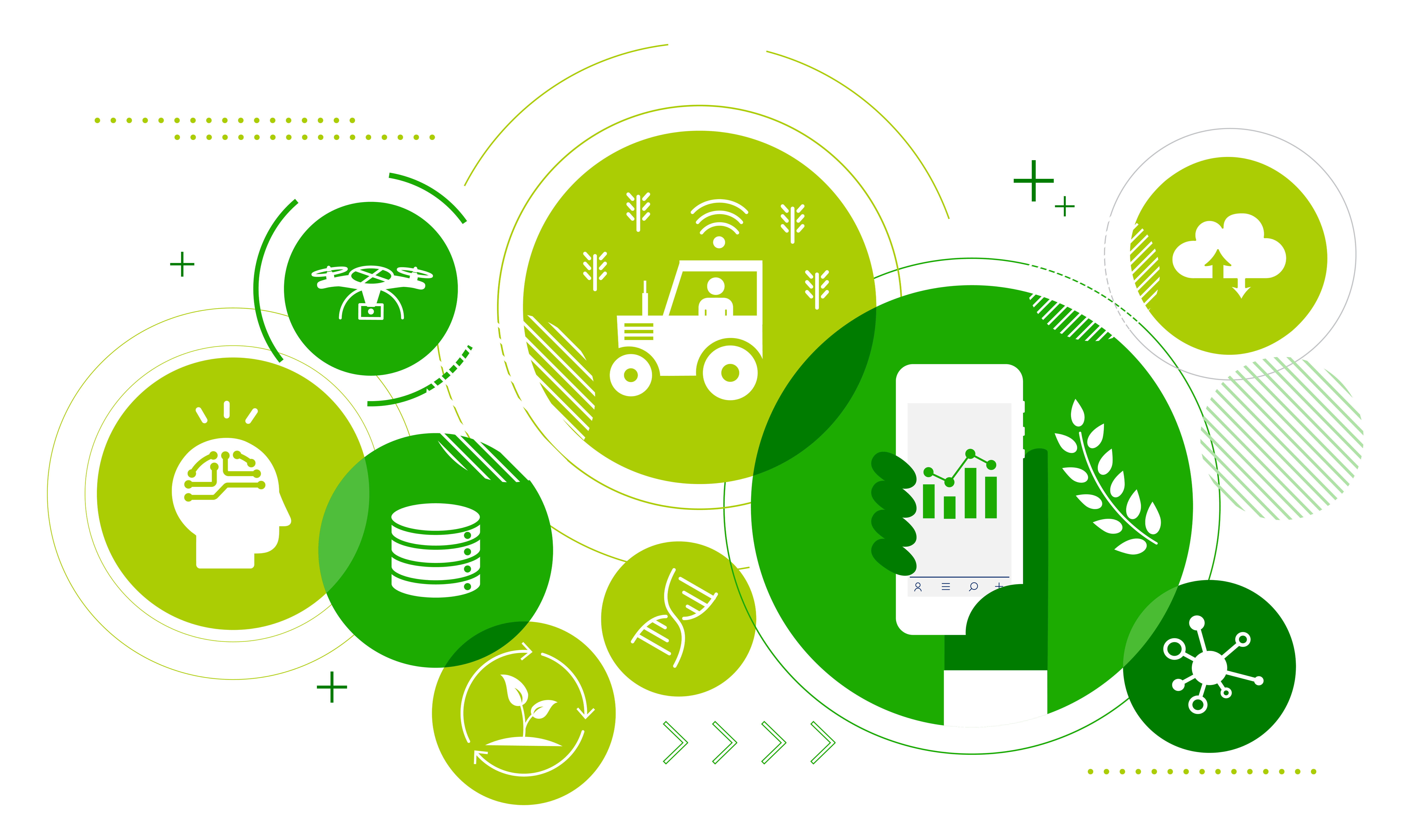 CC国际-CC彩球网(集团)登录平台