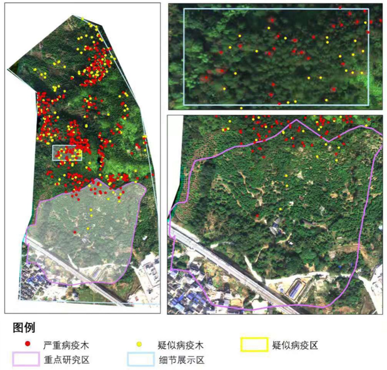 CC国际-CC彩球网(集团)登录平台