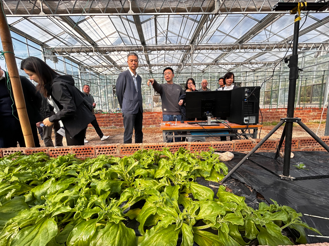 CC国际-CC彩球网(集团)登录平台